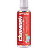 Evogen Nutrition - Carnigen (Liquid) Sour Gummies