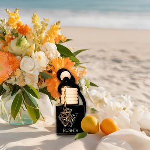 Auto Luchtverfrisser Bushta D152