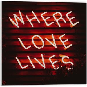 Forex - ''Where Loves Lives'' Rode Neonletters - 50x50cm Foto op Forex