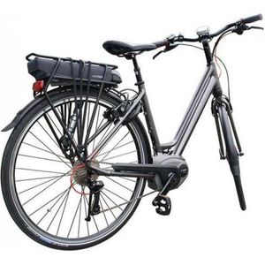 E-BIKE accuhoes | Frame-accu | DS COVERS