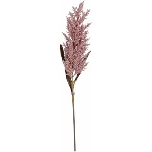 Mica Decorations Pampasgras pluim losse steel/tak - oudroze - 88 cm - Decoratie kunst bloemen