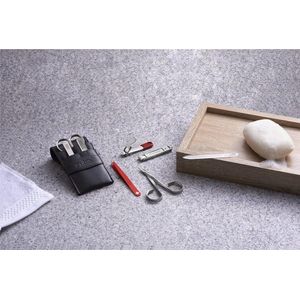 Professionelle Pinzette - Maniküre Pediküre - Präzise Edelstahl silber - RUBIS