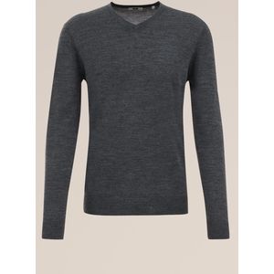 WE Fashion Heren trui van merinowol