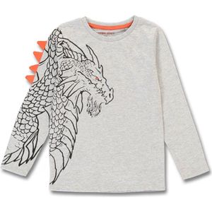 Lemon Beret t-shirt jongens - grijs - 148885 - maat 104