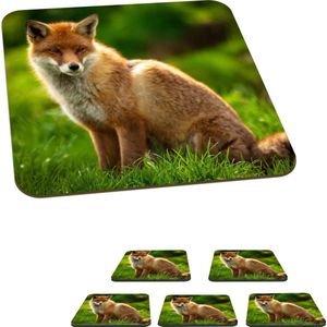Onderzetters voor glazen - Vos - Licht - Gras - 10x10 cm - Glasonderzetters - 6 stuks