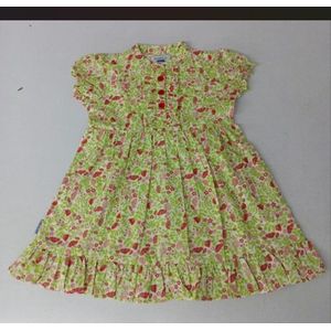 Comfort & Care Apparel | Rood/groen Bloemetjes jurkje | Baby | Maat 68