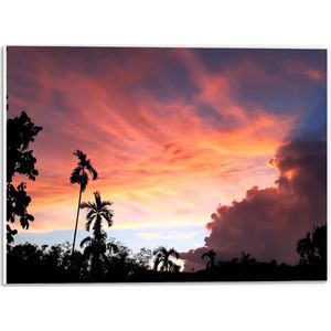 PVC Schuimplaat - Bomen - Palmbomen - Wolken - Lucht - Kleuren - 40x30 cm Foto op PVC Schuimplaat (Met Ophangsysteem)