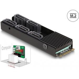 Delock Converter M.2 2280 Key B+M male to 5 x SATA with heat sink