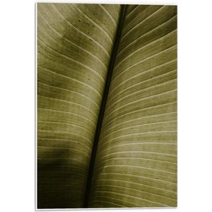 Forex - Groen Papier - 40x60cm Foto op Forex