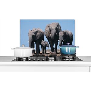 Spatscherm keuken 70x50 cm - Kookplaat achterwand Olifant - Vlakte - Dieren - Natuur - Muurbeschermer - Spatwand fornuis - Hoogwaardig aluminium