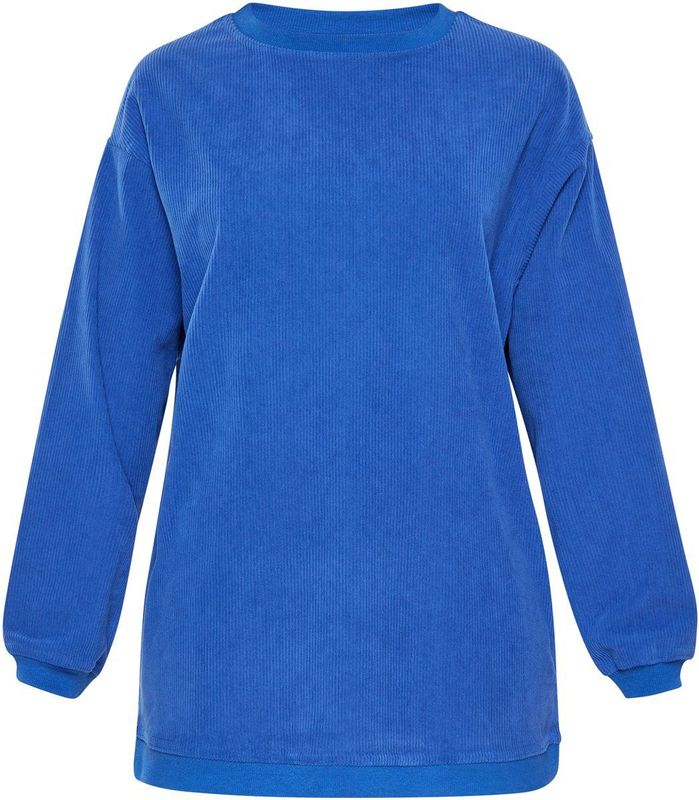 usha - FESTIVAL - Sweatshirt - Blauw - Ronde Hals - Losse Pasvorm