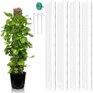 Klimhulp voor Monstera - 4 stuks - 61 cm - Kunststof Mosstokken - Kamerplant Klimhulp - Wit .