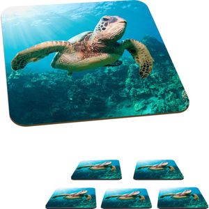 Onderzetters voor glazen - Zwemmende schildpad fotoafdruk - 10x10 cm - Glasonderzetters - 6 stuks