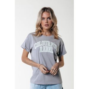 Colourful Rebel CR Patch Boxy Tee - XS