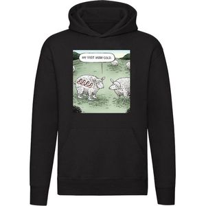 Mijn voeten waren koud Hoodie - dieren - schaap - wol - koude voeten - schapen - koud - humor - grappig - unisex - trui - sweater - capuchon