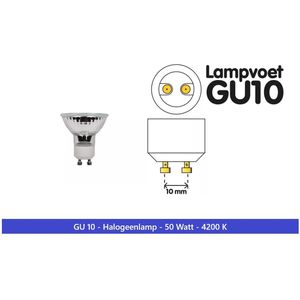 HALOGEENLAMP GU10 - DIMBAAR 50W - 4200 k - PAR16 50mm 25° - Koud Wit Halogeenlamp