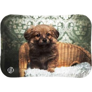 Equivera Elektrische Kruik - Elektrische Kruik - Warmtekussen - Buikverwarmer - Kruik voor in Bed- Warmwaterkruik