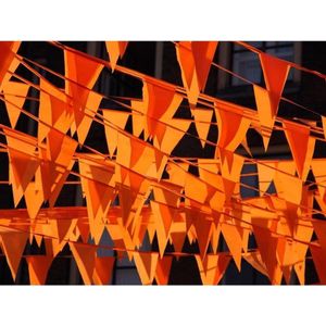 Vlaggenlijn - 20 vlaggetjes - oranje - 10 meter - Koningsdag / WK / EK voetbal vlaggenlijn
