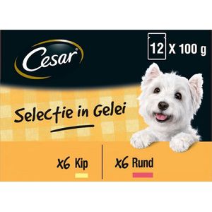 Cesar Selectie in Gelei Maaltijdzakjes Honden Natvoer - Vlees en Groenten in Gelei - 48 x 100g