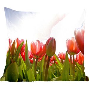 Sierkussen - Rode Tulpen En Het Zonlicht - Multicolor - 40 Cm X 40 Cm