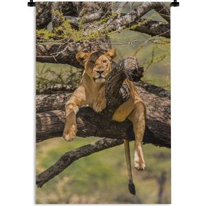 Wandkleed Roofdieren - Waakzame leeuw in een boom Wandkleed katoen 90x135 cm - Wandtapijt met foto