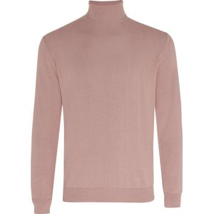 Tresanti SCOTT | Stretch turtleneck rollneck Dusty Pink (TRKWGE031 - 708)