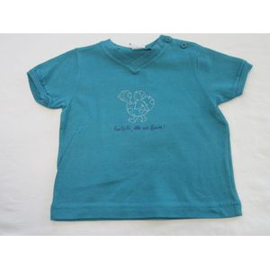 petit bateau , jongens, t-shirt korte mouw , turquoise , badeend , 74 - 12 maand