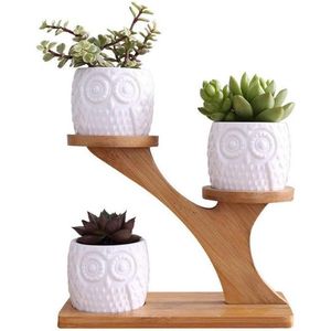 Verwarmde Wimperkruller USB Oplaadbaar | Elektrische Wimperkruller met Kam | 3 Versnellingen Temperatuurregeling LED Display | Voor Meisjes Vrouwen Roze .