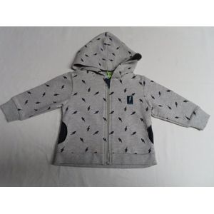 Gilet - Sweat - Unie - Grijst - 3 maand 62