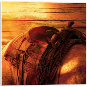 WallClassics - PVC Schuimplaat - Rug van Paard tegen Houten Wand - 50x50 cm Foto op PVC Schuimplaat (Met Ophangsysteem)