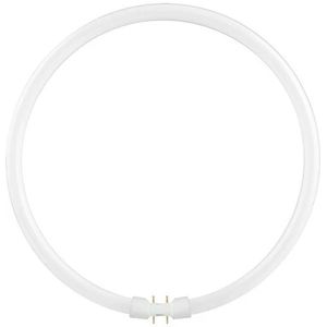 SPL - FL Circline T5 - Lamp - 55W - 3000K - 2Gx13 Fitting