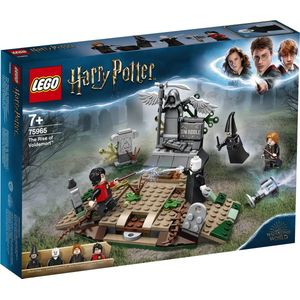 LEGO Harry Potter De Opkomst van Voldemort - 75965