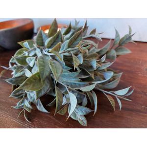 Brynxz - Laurier - Kunstplant - Groen - Lengte 35 cm