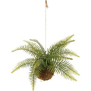 Kokodama - Kunstplant - Hangplant - Varen - Varenhanger op Mosbol hoogte 35cm