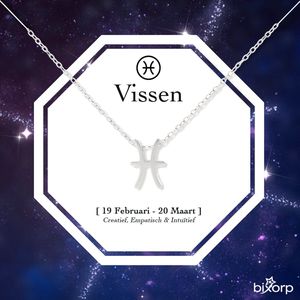 Bixorp Stars Sterrenbeeld Ketting Vissen / Pisces - Stainless Steel - 45cm Ketting met Zodiac Hanger - Inclusief Cadeau Verpakking