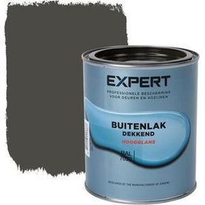 Expert Buitenlak Halfglans - Aflak - Verf - Made by Sikkens - Ral 7022 - 0,75 L