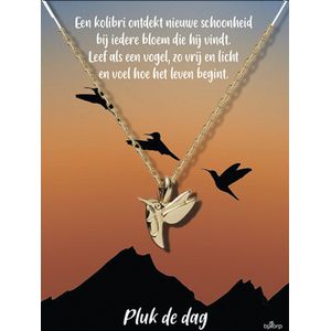 Bixorp Luck Cadeau Ketting met Kolibri - 18k Verguld Goud Stainless Steel - Cadeau voor succes / geluk / afscheid - Pluk de dag