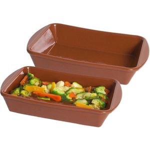 Tapas ovenschaal/serveerschaal - 2x - rechthoek - Spaans terracotta/aardewerk - 26 x 19 x 5.5 cm - Klassieke stijl - 2.5 liter