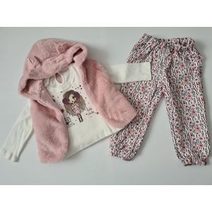 meisje kleding - kleding set - meisje - 3 delige set - roze - broekje - sweatshirt - bodywarmer - met capuchon - 92/98 maat - baby girl