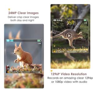 Wildcamera 24MP met Nachtzicht en Bewegingsdetectie - Waterdicht en Groothoek voor Dierobservatie en Veiligheid