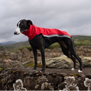 Hondenjas van Softshell - Rood - Softshell body - Whippet - Border Collie - Windhonden - Rapid Dog Wear - Maat S