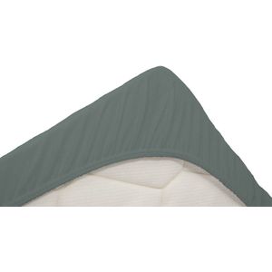 Snoozing Dubbel Jersey - Hoeslaken - Lits-jumeaux - 180x200/220 cm - Groen