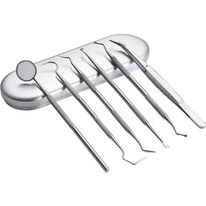 Actie4you® - Tandarts gereedschap - 6 stuks - RVS setje - Mondspiegel - Haakje - Voor Mens en Dier Gebit - Tandplak – Tandsteen Verwijderen - Spiegel - Luxe case