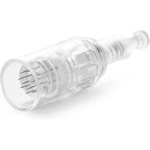 Screw Port Microneedling Cartridge - 12 Naalden - Set van 2 - Voor Derma Pen