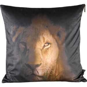 PTMD Raf Vierkant Kussen Leeuw - 45 x 10 x 45 cm - Velvet - Bruin