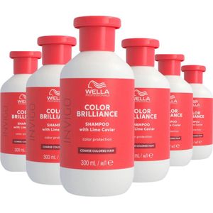 Wella Invigo Color Brilliance Shampoo Gekleurd & Dik Haar 300ml - 6 Stuks - Voordeelverpakking