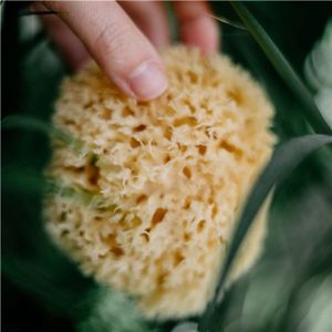 Natuurlijke Sponzen-Hoogwaardige Spons voor Afwassen-Uit Het Middellandse Zeegebied-Maat XL