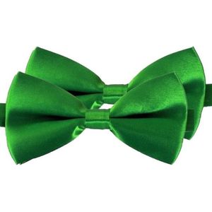 2x Groene verkleed vlinderstrikjes 12 cm voor dames/heren - Groen thema verkleedaccessoires/feestartikelen - Vlinderstrikken/vlinderdassen met elastieken sluiting