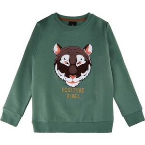 The New sweater jongens - groen - TNvillum - maat 164