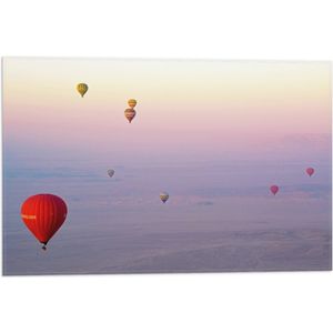WallClassics - Vlag - Ballonvaarten in Verschillende Luchtballonnen - 60x40 cm Foto op Polyester Vlag